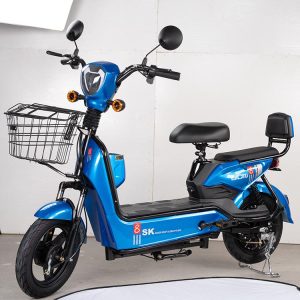 Adult Motorcycle Electric bike for Sale